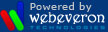 A Web Design Company Delhi, India